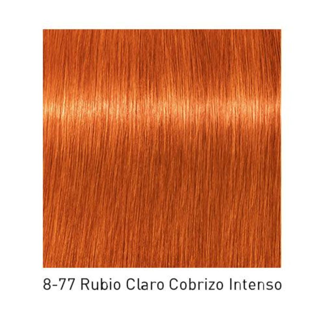 Tinte Igora Royal 8-77 Rubio Claro Cobrizo Intenso