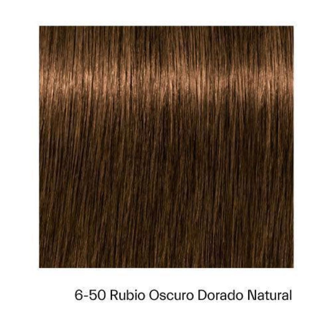 Tinte Igora Absolutes 6-50