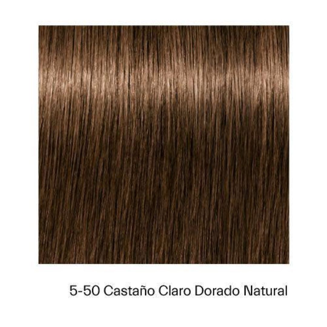 Tinte Igora Absolutes 5-50