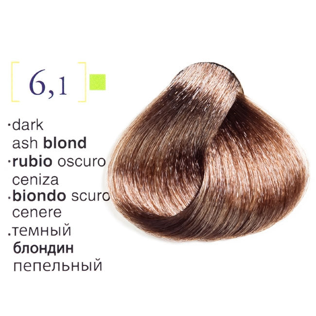 Tinte Salerm Vision 6-1 Rubio Oscuro Ceniza 75 ML