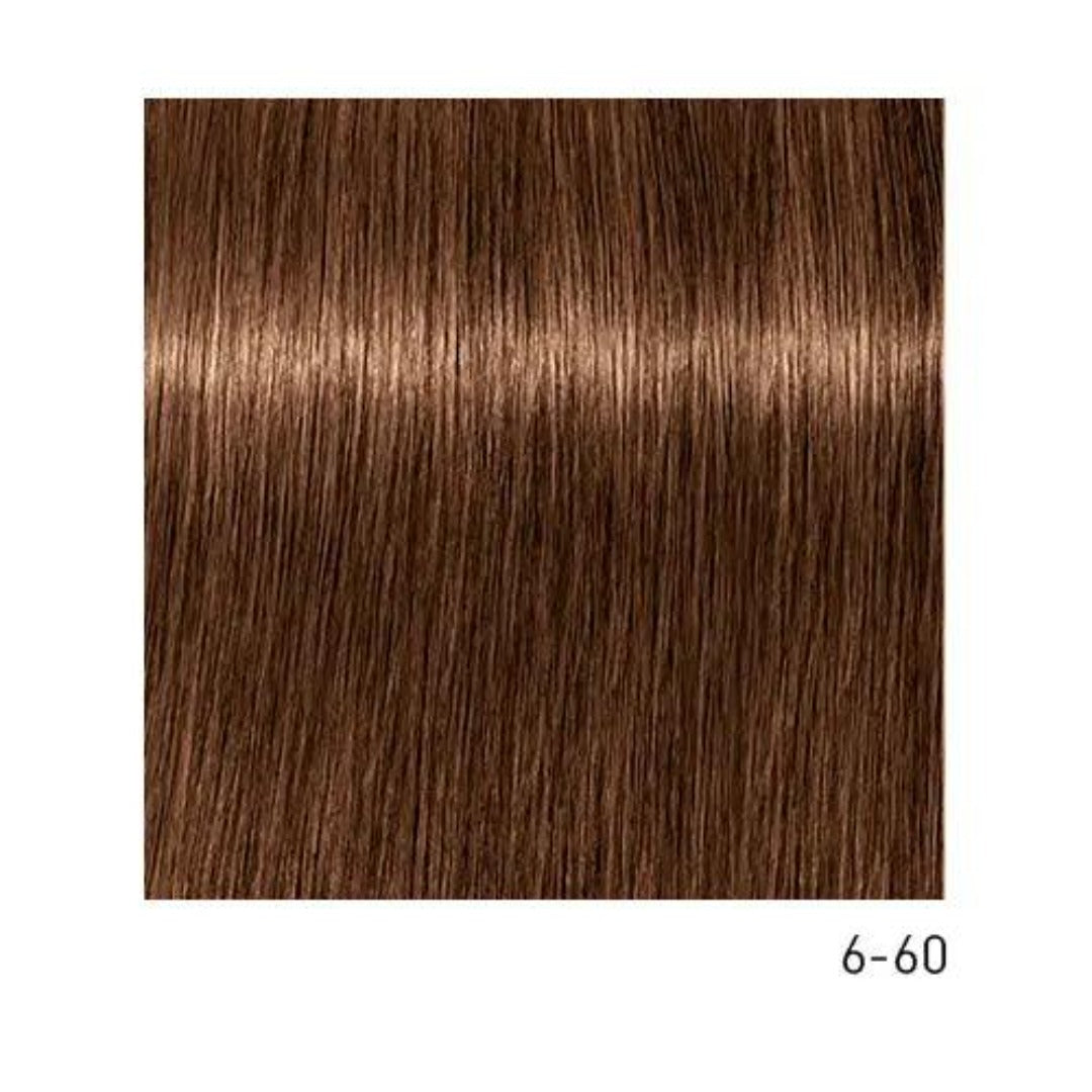 Tinte Igora Absolutes 6-60