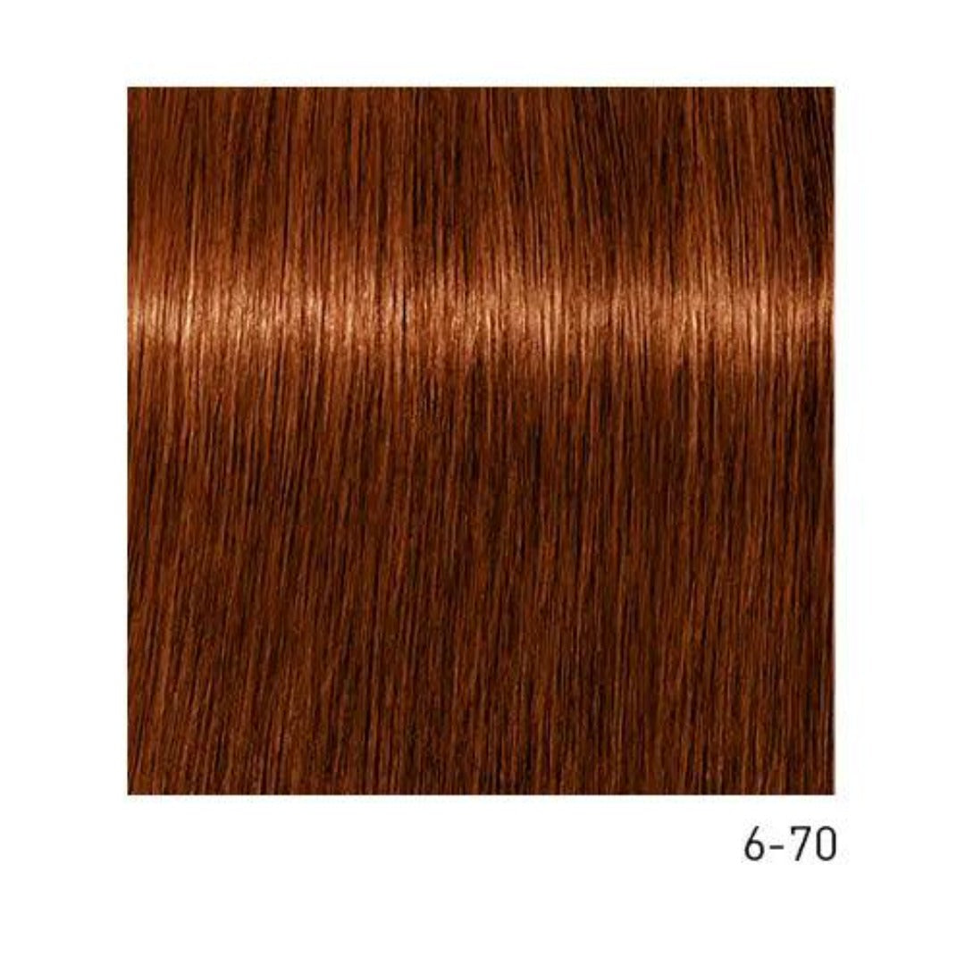 Tinte Igora Absolutes 6-70