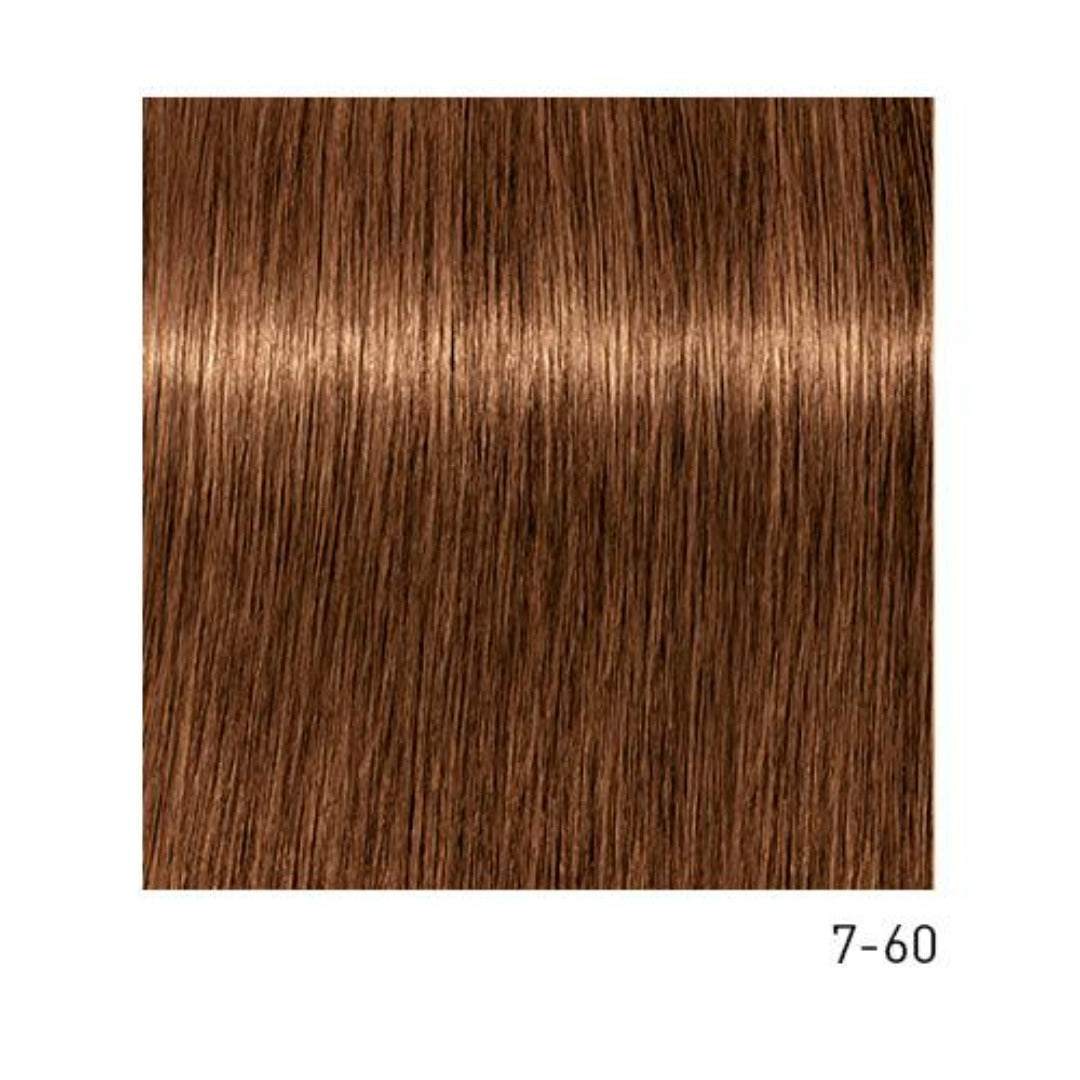 Tinte Igora Absolutes 7-60