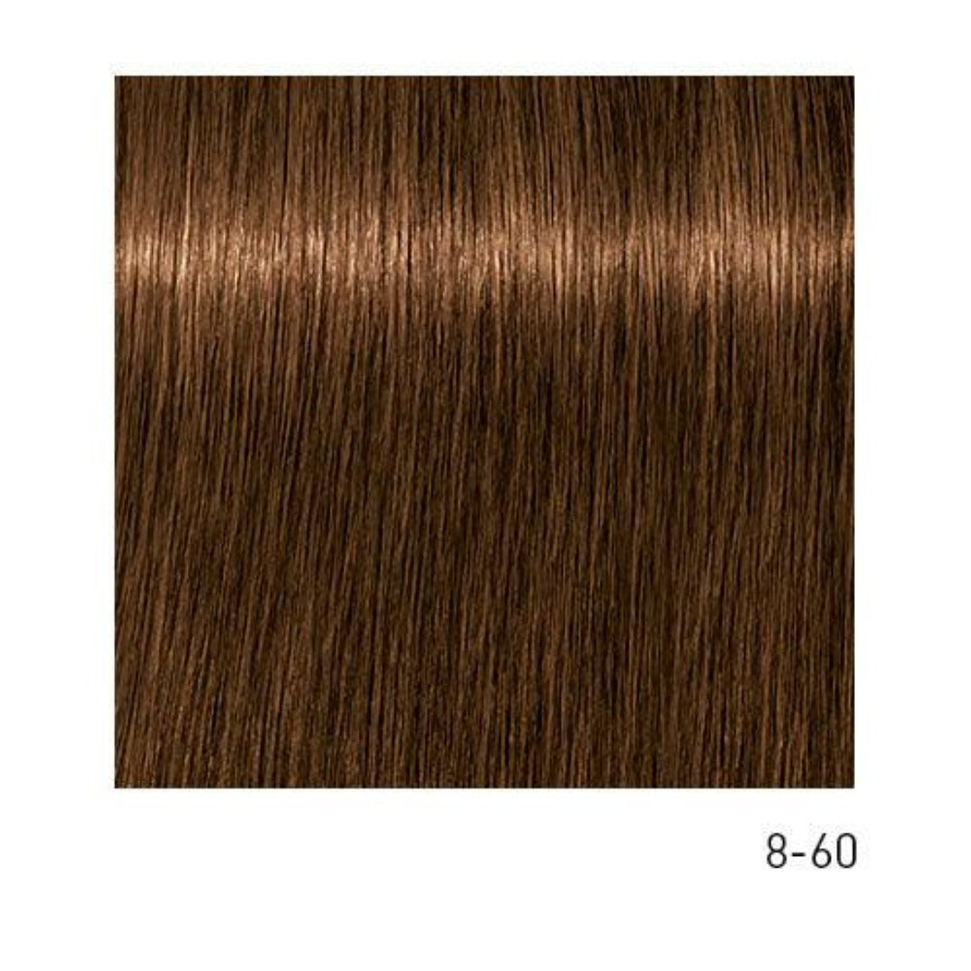 Tinte Igora Absolutes 8-60