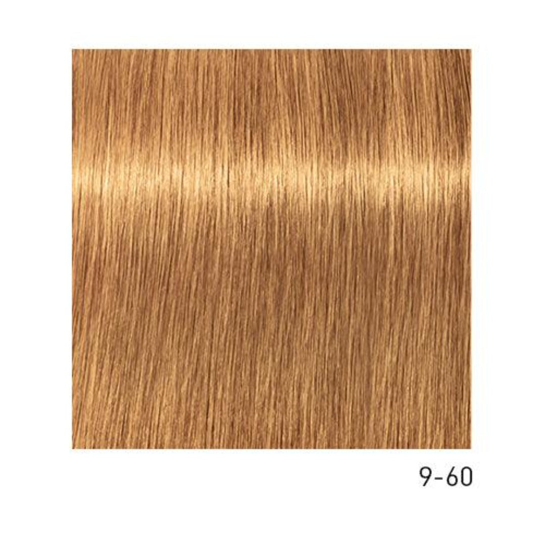 Tinte Igora Absolutes 9-60