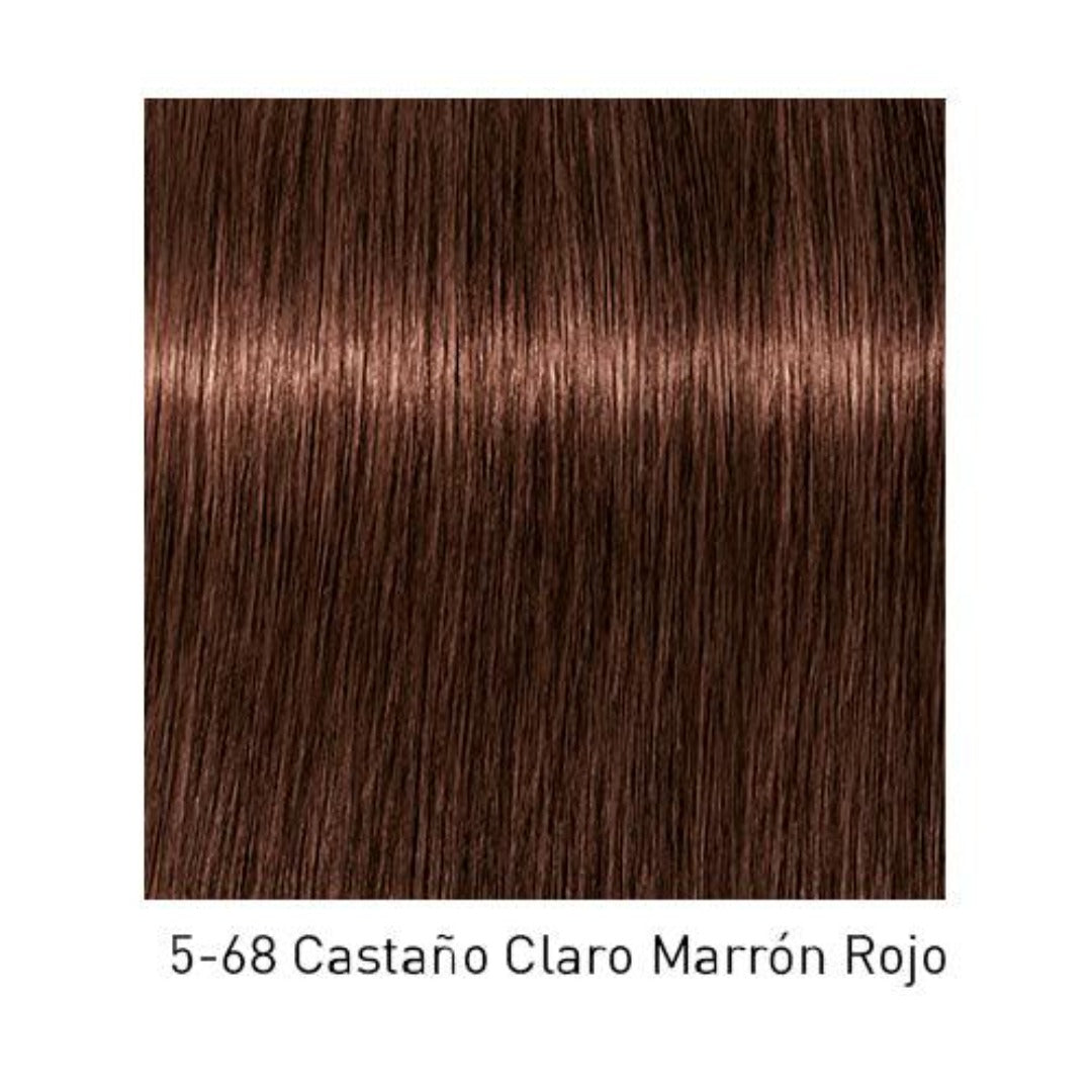 Tinte Igora Royal 5-68 Castaño Claro Marrón Rojo