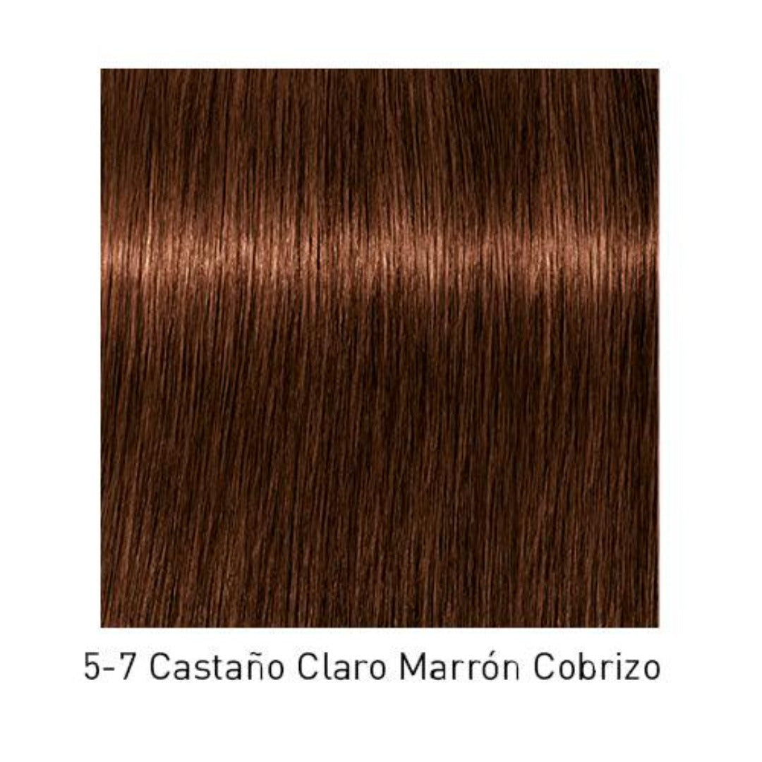 Tinte Igora Royal 5-7 Castaño Claro Marrón Cobrizo