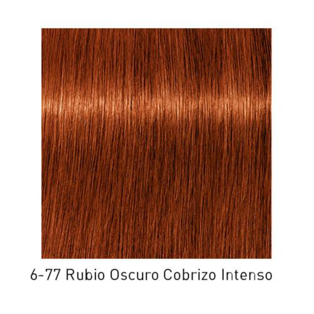 Tinte Igora Royal 6-77 Rubio Oscuro Cobrizo Intenso
