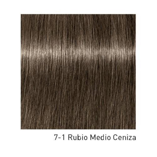 Tinte Igora Royal 7-1 Rubio Medio Ceniza