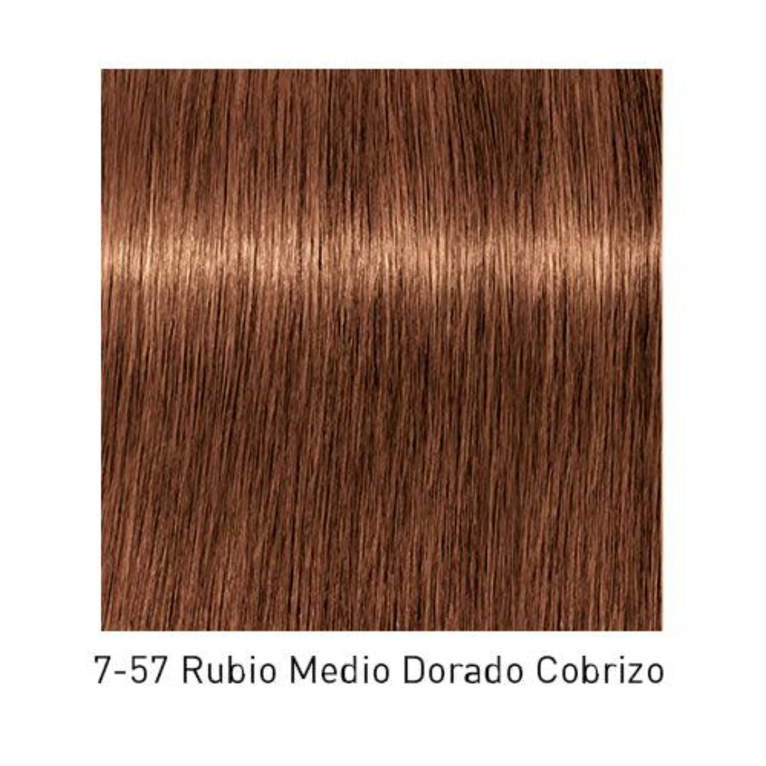 Tinte Igora Royal 7-57 Rubio Medio Dorado Cobrizo