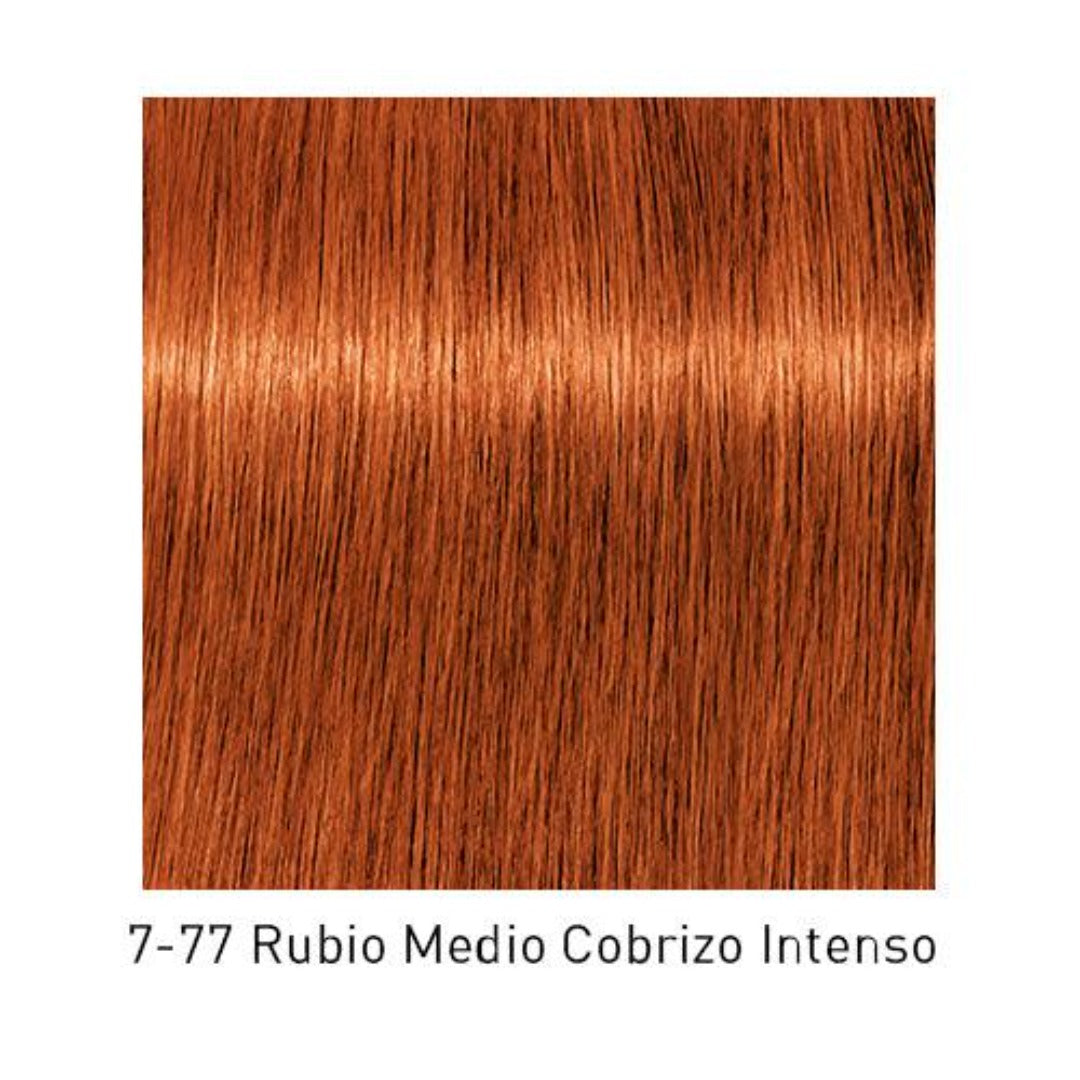 Tinte Igora Royal 7-77 Rubio Medio Cobrizo Intenso