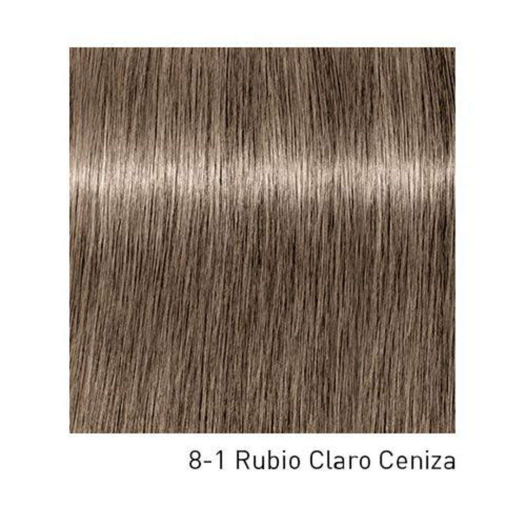 Tinte Igora Royal 8-1 Rubio Claro Ceniza