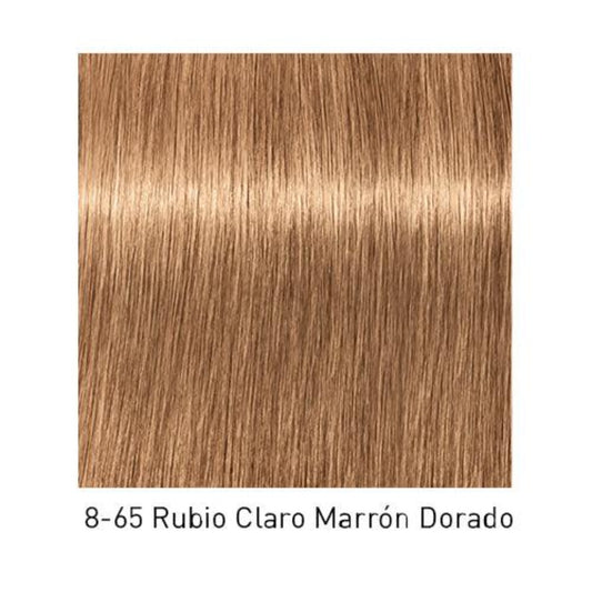 Tinte Igora Royal 8-65 Rubio Claro Marrón Dorado