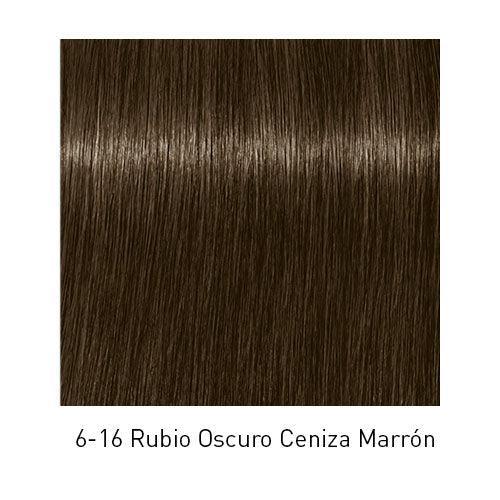 Tinte Igora Royal 6-16 Rubio Oscuro Ceniza Marrón