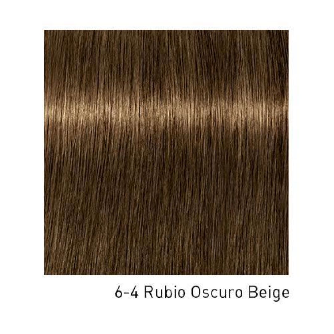 Tinte Igora Royal 6-4 Rubio Oscuro Beige