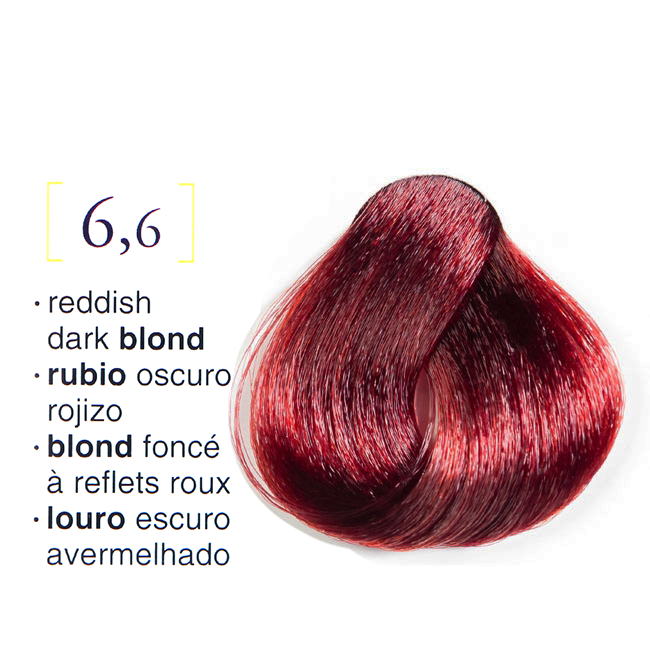Tinte Salerm Vision 6-6 Rubio Oscuro Rojizo 75 ML