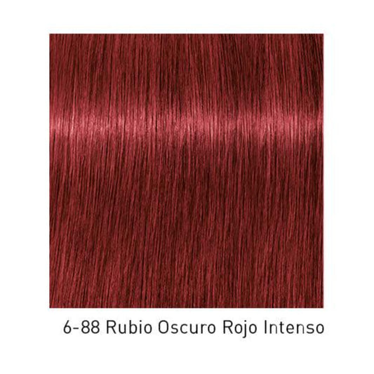 Tinte Igora Royal 6-88 Rubio Oscuro Rojo Intenso