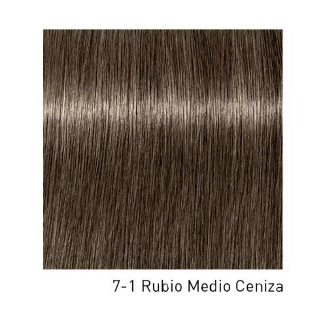 Tinte Igora Royal 7-1 Rubio Medio Ceniza