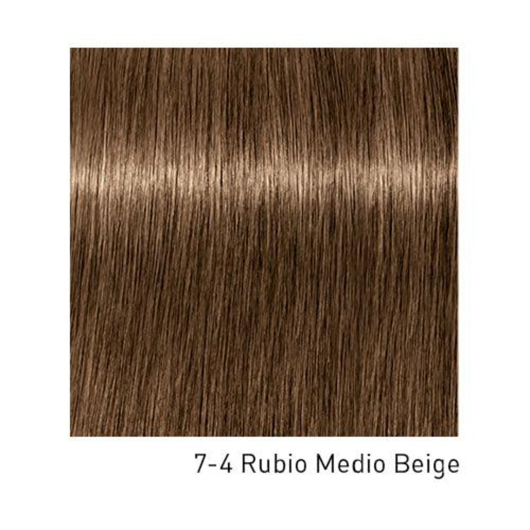 Tinte Igora Royal 7-4 Rubio Medio Beige