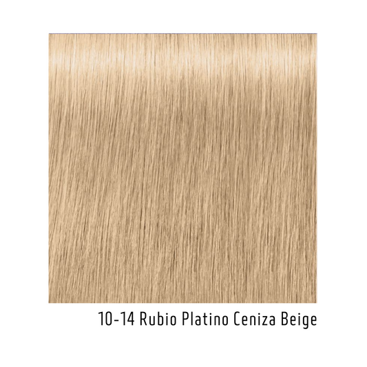 Tinte Igora Royal Highlifts 10-14 Rubio Platino Ceniza Beige